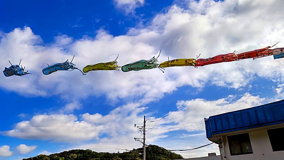 イカの町の、イカノボリ