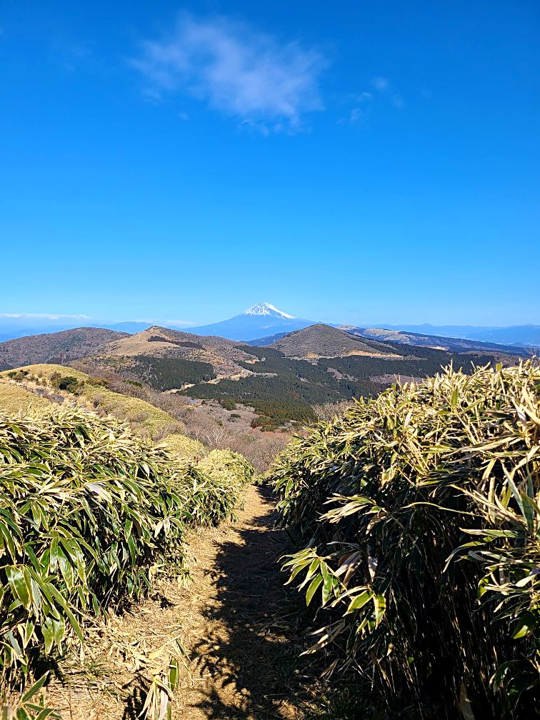 西伊豆スカイライン沿いの尾根から望む富士山